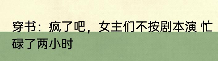 穿书：疯了吧，女主们不按剧本演 忙碌了两小时