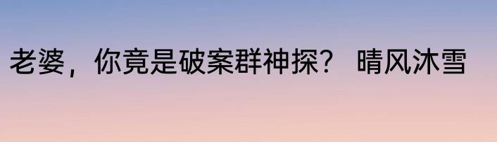 老婆，你竟是破案群神探？ 晴风沐雪