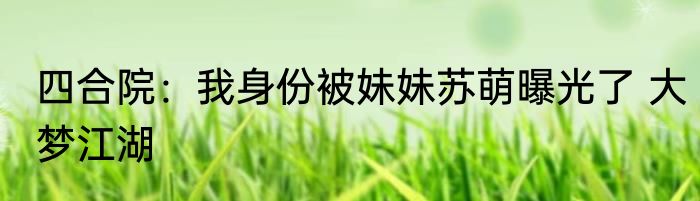 四合院：我身份被妹妹苏萌曝光了 大梦江湖