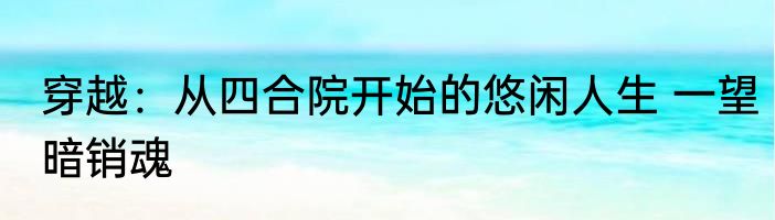 穿越：从四合院开始的悠闲人生 一望暗销魂