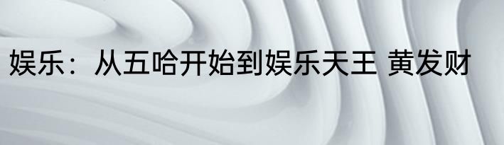 娱乐：从五哈开始到娱乐天王 黄发财