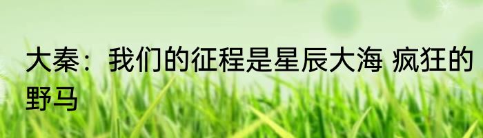 大秦：我们的征程是星辰大海 疯狂的野马