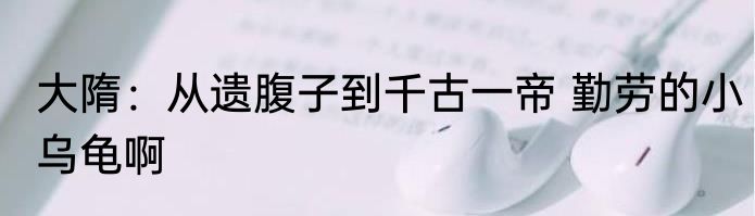 大隋：从遗腹子到千古一帝 勤劳的小乌龟啊