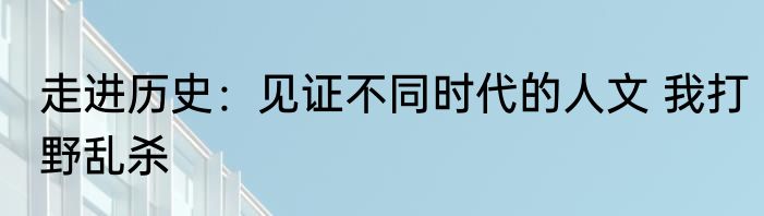 走进历史：见证不同时代的人文 我打野乱杀