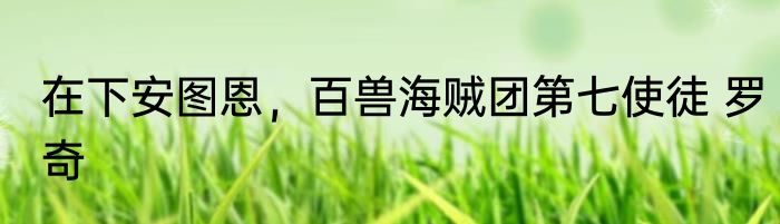 在下安图恩，百兽海贼团第七使徒 罗奇