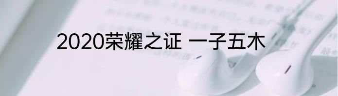 2020荣耀之证 一子五木