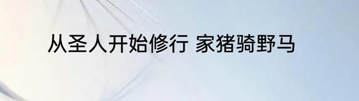 从圣人开始修行 家猪骑野马