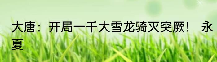 大唐：开局一千大雪龙骑灭突厥！ 永夏