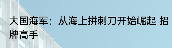 大国海军：从海上拼刺刀开始崛起 招牌高手