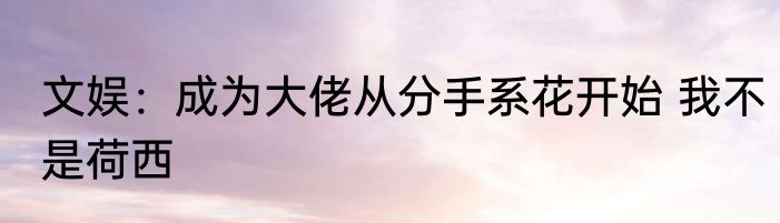 文娱：成为大佬从分手系花开始 我不是荷西