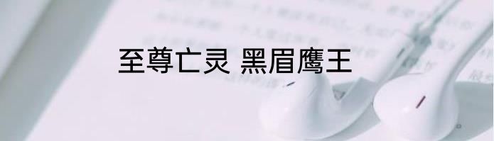 至尊亡灵 黑眉鹰王