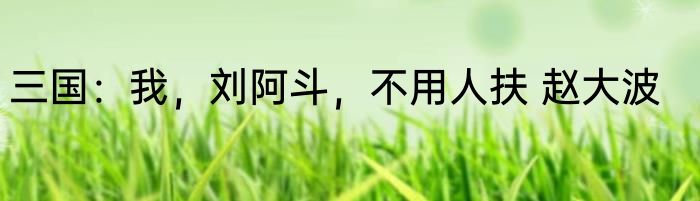 三国：我，刘阿斗，不用人扶 赵大波