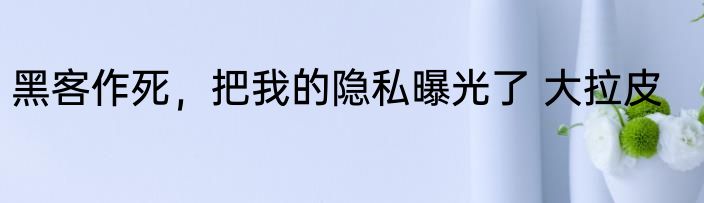 黑客作死，把我的隐私曝光了 大拉皮