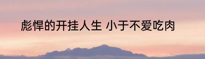 彪悍的开挂人生 小于不爱吃肉