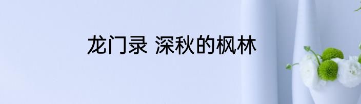 龙门录 深秋的枫林