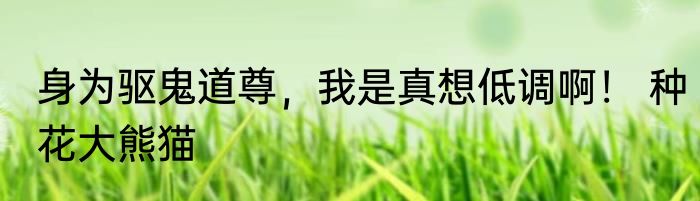 身为驱鬼道尊，我是真想低调啊！ 种花大熊猫