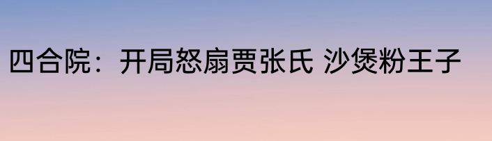 四合院：开局怒扇贾张氏 沙煲粉王子