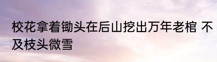 校花拿着锄头在后山挖出万年老棺 不及枝头微雪