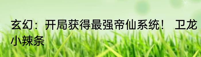 玄幻：开局获得最强帝仙系统！ 卫龙小辣条