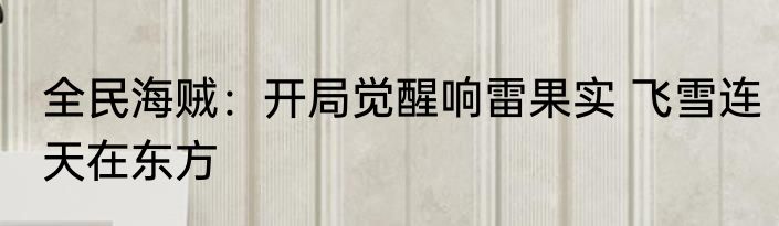 全民海贼：开局觉醒响雷果实 飞雪连天在东方