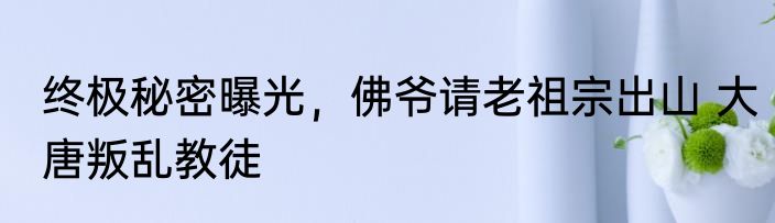 终极秘密曝光，佛爷请老祖宗出山 大唐叛乱教徒