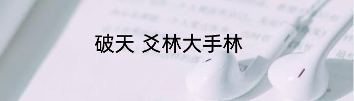 破天 爻林大手林