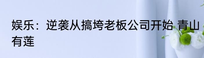 娱乐：逆袭从搞垮老板公司开始 青山有莲