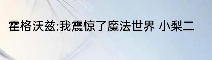 霍格沃兹:我震惊了魔法世界 小梨二