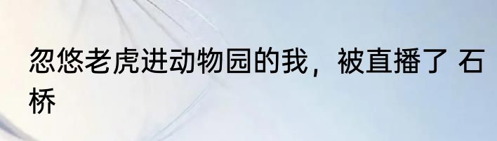 忽悠老虎进动物园的我，被直播了 石桥