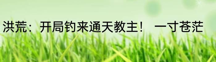 洪荒：开局钓来通天教主！ 一寸苍茫