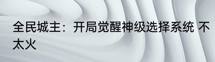 全民城主：开局觉醒神级选择系统 不太火