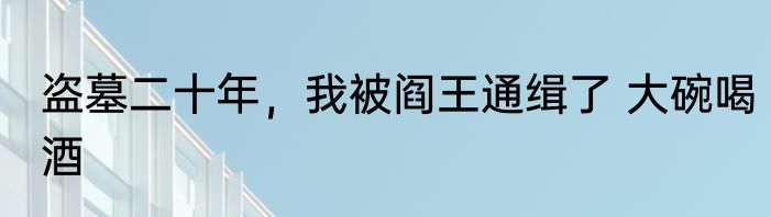 盗墓二十年，我被阎王通缉了 大碗喝酒