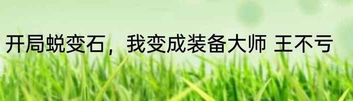 开局蜕变石，我变成装备大师 王不亏