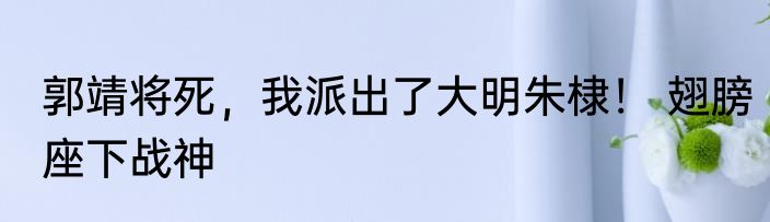 郭靖将死，我派出了大明朱棣！ 翅膀座下战神