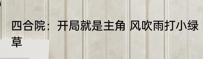 四合院：开局就是主角 风吹雨打小绿草