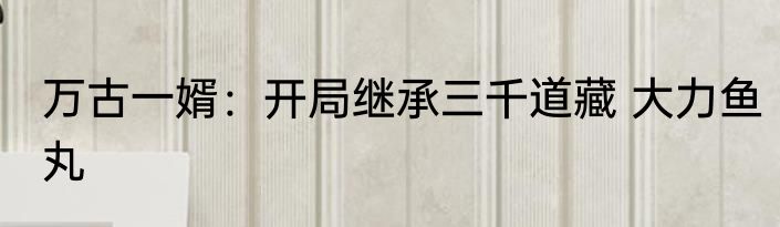 万古一婿：开局继承三千道藏 大力鱼丸