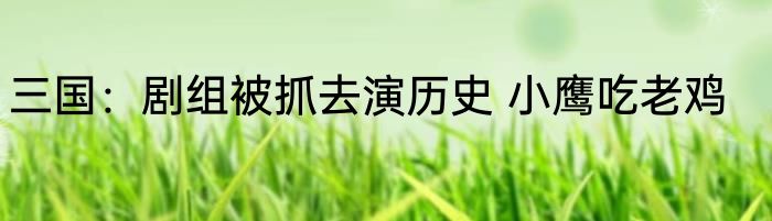 三国：剧组被抓去演历史 小鹰吃老鸡