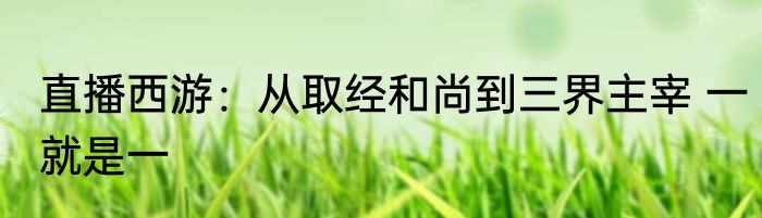 直播西游：从取经和尚到三界主宰 一就是一