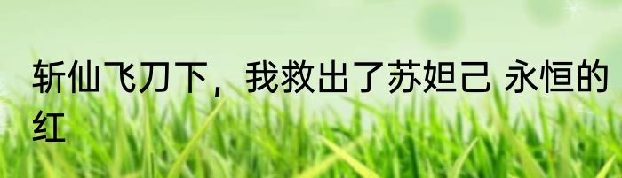 斩仙飞刀下，我救出了苏妲己 永恒的红