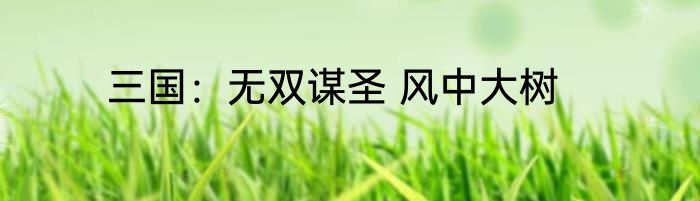 三国：无双谋圣 风中大树