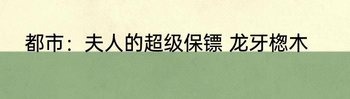 都市：夫人的超级保镖 龙牙楤木