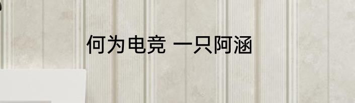 何为电竞 一只阿涵