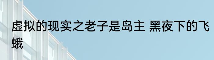 虚拟的现实之老子是岛主 黑夜下的飞蛾