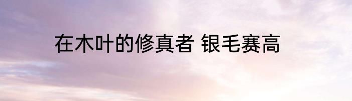 在木叶的修真者 银毛赛高