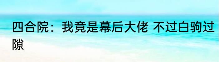 四合院：我竟是幕后大佬 不过白驹过隙