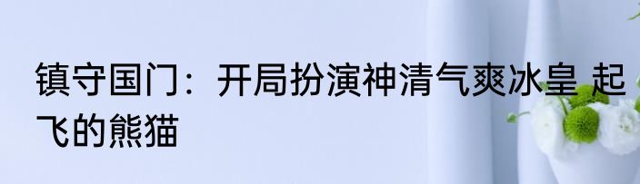 镇守国门：开局扮演神清气爽冰皇 起飞的熊猫