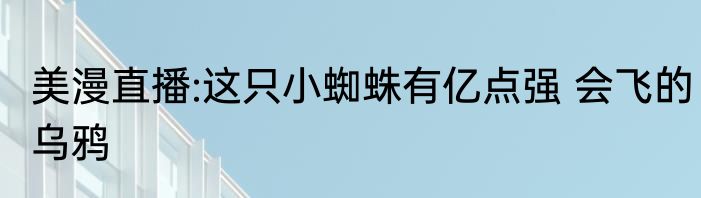 美漫直播:这只小蜘蛛有亿点强 会飞的乌鸦
