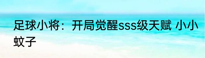 足球小将：开局觉醒sss级天赋 小小蚊子