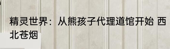 精灵世界：从熊孩子代理道馆开始 西北苍烟