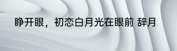 睁开眼，初恋白月光在眼前 辞月